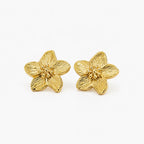  Gold-tone five-petal flower stud earrings on white background, front view