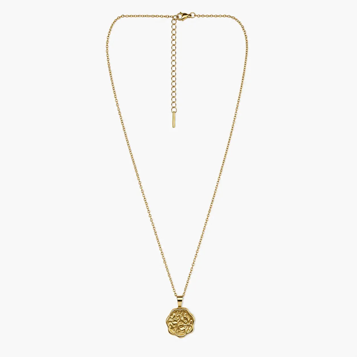 Full view of the gold-tone pendant necklace with floral coin charm, fine chain, clasp and long extender.